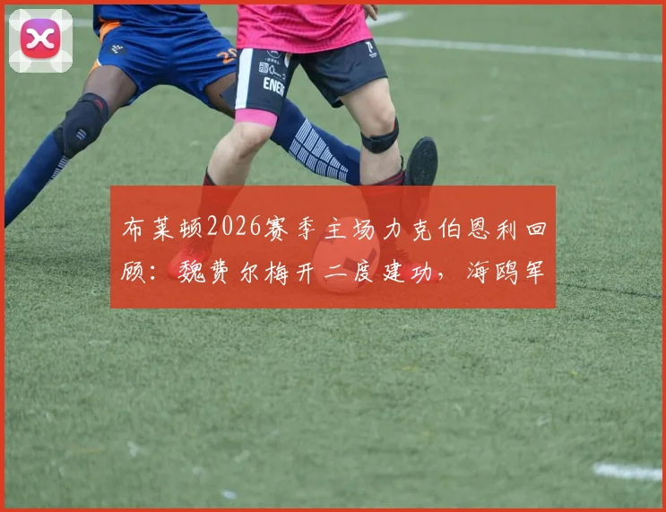 布莱顿2026赛季主场力克伯恩利回顾：魏费尔梅开二度建功，海鸥军团稳固排名，伯恩利保级路再添阴霾